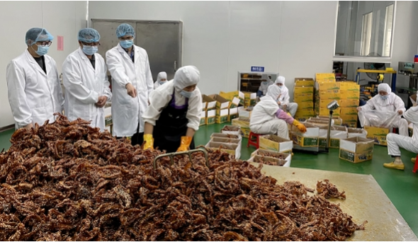 广西北海：整治食品标签标识 规范生产经营行为