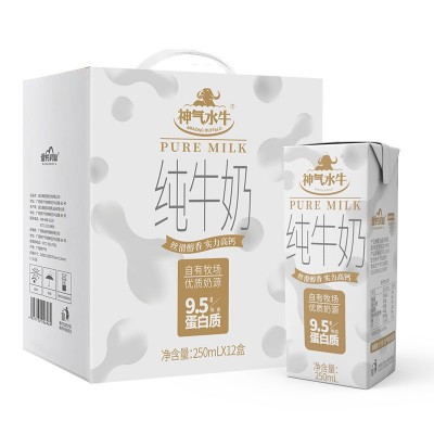 神气水牛纯牛奶 9.5g乳蛋白营养高钙皇氏乳业常温早餐250ml*12盒