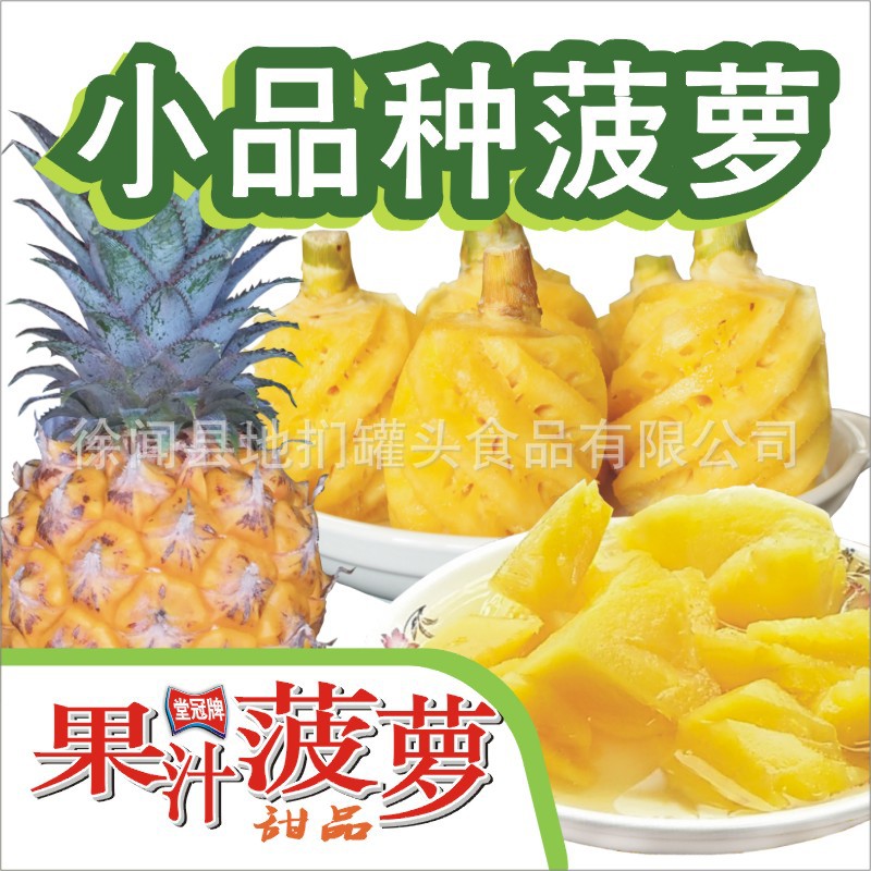 堂冠果汁菠萝343克（9罐装传统风格）6.JPG