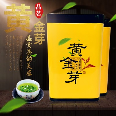 浙江高山绿茶安吉黄金芽 白茶2023新茶黄金茶叶散装500g一件批发