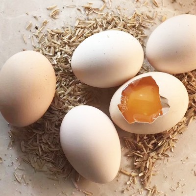 土鸡蛋360枚农家散养鸡蛋农家散养土鸡蛋新鲜草鸡蛋柴鸡蛋