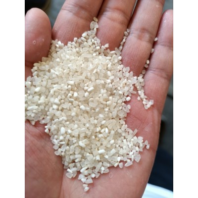 2023新上市碎米 酒厂专用 优质碎米 大量批发 可议价