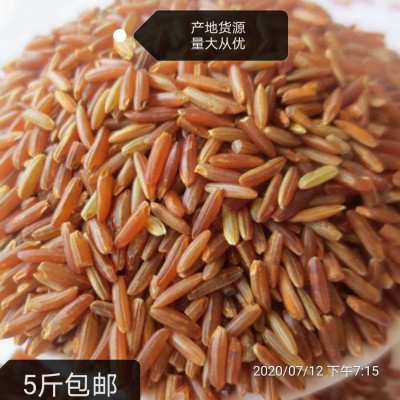 大量批发红米 500g 农家自产红糙米五谷杂粮红稻米红大米红梗