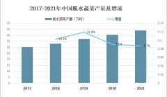 2023年脱水蔬菜市场规模分析：中国脱水蔬菜市场约为60亿元人民币