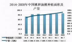 2023年油桃市场分析：中国油桃市场产量同比增长5%